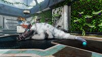 Preston resting in Marguerit's greenhouse