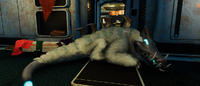 Preston Sleeping in Marguerit's base