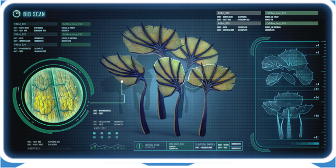 Pygmy Fan-0.png