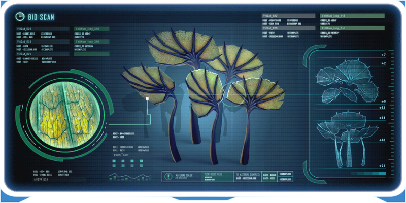 Pygmy Fan-0.png