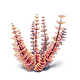 Redwort Icon.png