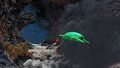 A wandering Rockgrub in the Lava Caves