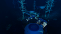 BLOOD KELP ZONE