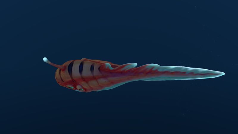 File:Biter Fish (5).jpg