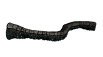Coral Bridges Coral.png