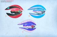 Red, Blue (Unused), and Purple Feather Fish - by Alex Ries