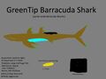 GreenTip Barracuda Shark Concept "puntaverde Barracuda tiburón" (Idea: Guardiancraft272)