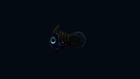 Holefish