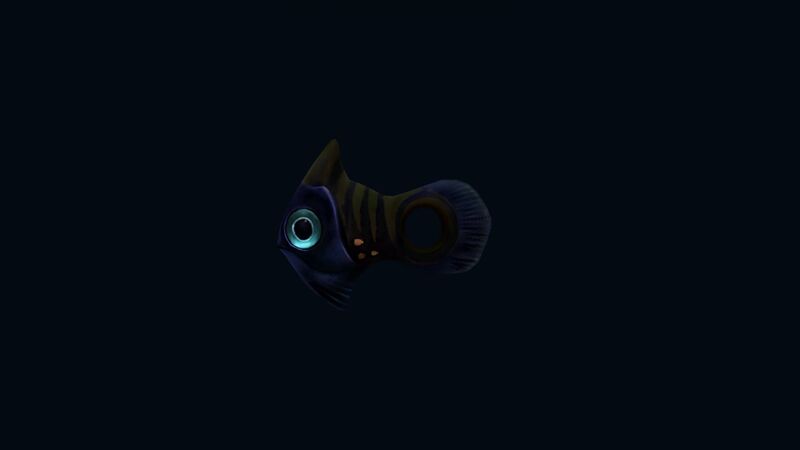 File:HolefishNight.jpg