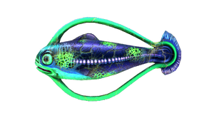 Infected Hoopfish.png