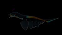 Pinnacarid