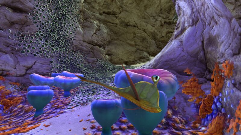 File:Safe Shallows Caves (12).jpg