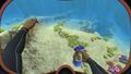 A Holefish being held by the player