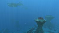 A view of the Grassy Plateaus, featuring a pod of Reefback Leviathans from afar.