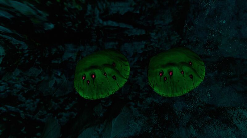 File:Green coral.jpg
