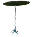Thumbnail for version as of 23:18, 6 August 2021
