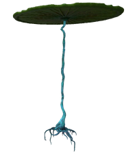 Lilypad Flora.png