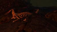 A Reaper Leviathan skeleton.