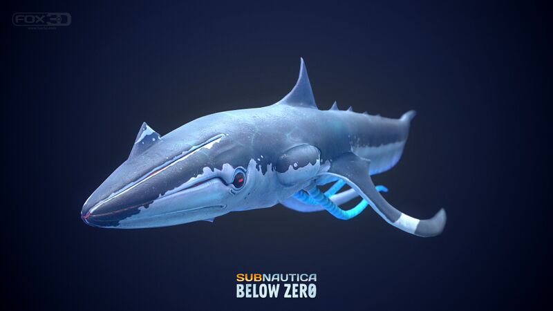 File:Squidshark2.jpg