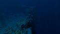 Thumbnail for version as of 09:43, 13 July 2017