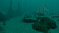 The Sparse Reef's border with the Grand Reef