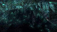 Details on the caves ceiling