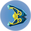 Boomerang.png