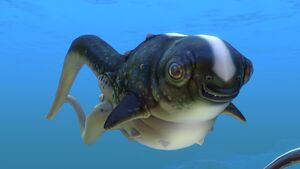 Cute Fish (4).jpg