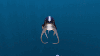 Magic trick