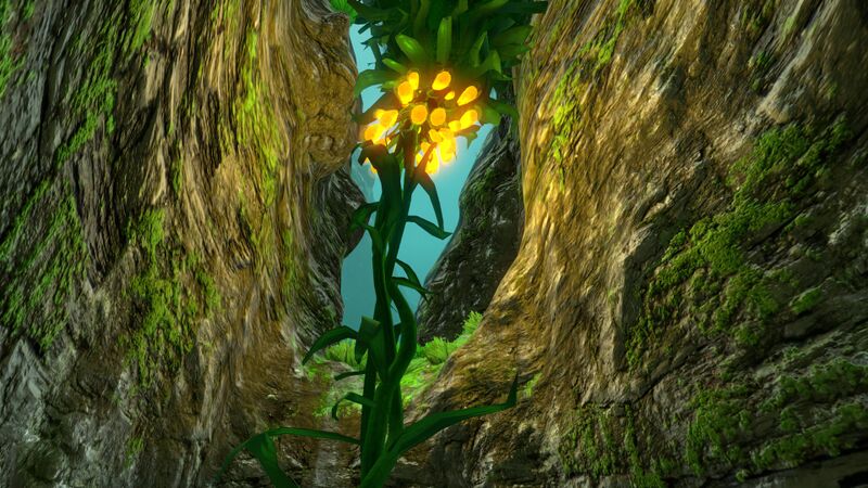 File:Kelp Forest (25).jpg