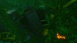 Kelp Forest Wreck (20).jpg