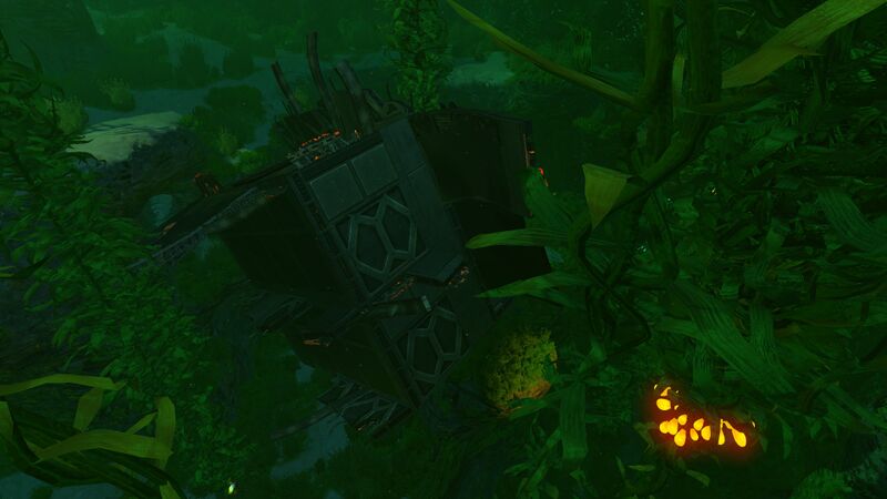 File:Kelp Forest Wreck (20).jpg