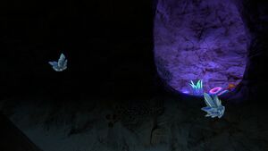 Quartz2.jpg