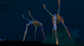 Thumbnail for version as of 21:08, 6 May 2016