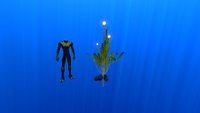 Size comparison with the player