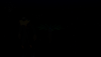 Bioluminescence