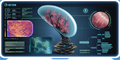 Thumbnail for version as of 02:01, 1 August 2017