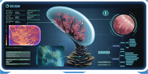 Membrain Tree-0.png