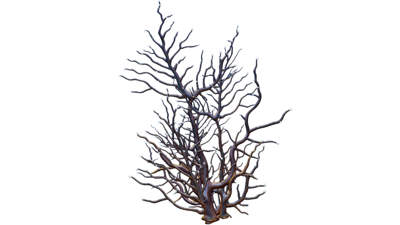 File:Red Branches Flora.png