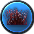 Thumbnail for version as of 08:29, 10 March 2015