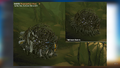 Thumbnail for version as of 03:19, 7 August 2021