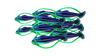 Shoal of Fish Fauna.png