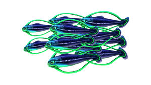 Shoal of Fish Fauna.png