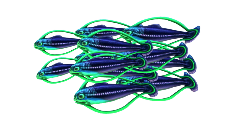 File:Shoal of Fish Fauna.png