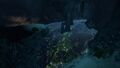 Part of the underwater cavern system of the island.