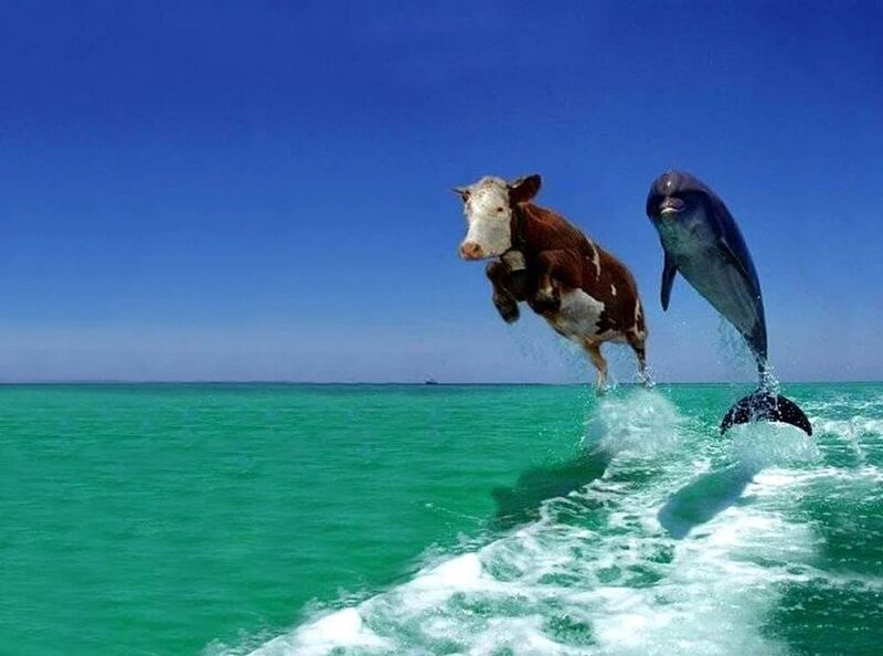 File:Inspirational background.jpg