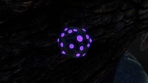 JellyPlant1.jpg