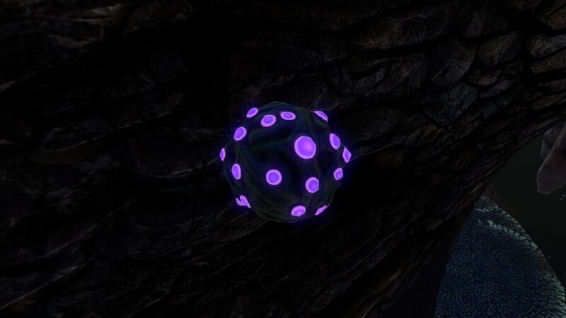 File:JellyPlant1.jpg