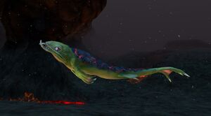 Lava Lizard 5.jpg