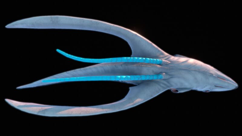 File:SquidsharkBottom.jpg